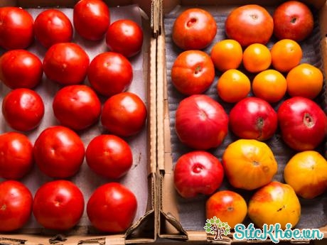 Không nên bảo quản cà chua trong tủ lạnh