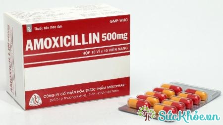 Amoxicillin 500mg là thuốc điều trị nhiễm khuẩn đường hô hấp, đường mật
