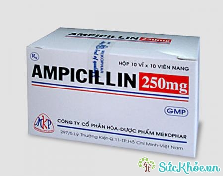 Ampicillin 250mg là thuốc điều trị viêm đường hô hấp trên, viêm xoang