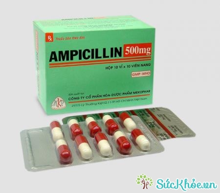 Ampicillin 500mg là thuốc điều trị các loại nhiễm khuẩn