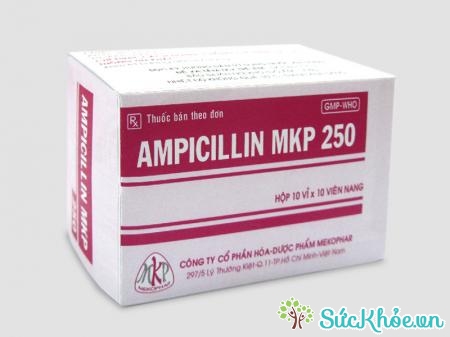 Thuốc Ampicillin MKP 250 điều trị viêm đường hô hấp, viêm xoang, bệnh lậu