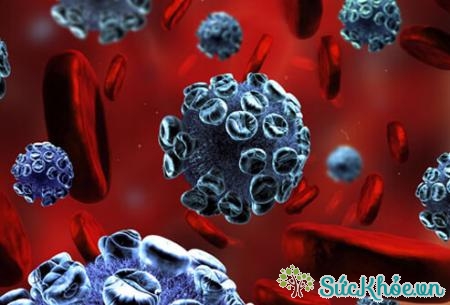 Bệnh enterovirus lây truyền như thế nào?