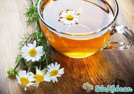 Uống trà hoa cúc trước khi đi ngủ giúp bạn dễ chịu, thoải mái hơn