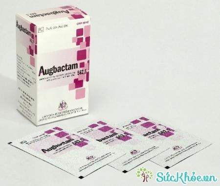 Thuốc Augbactam 562,5 điều trị nhiễm khuẩn trong thời gian ngắn