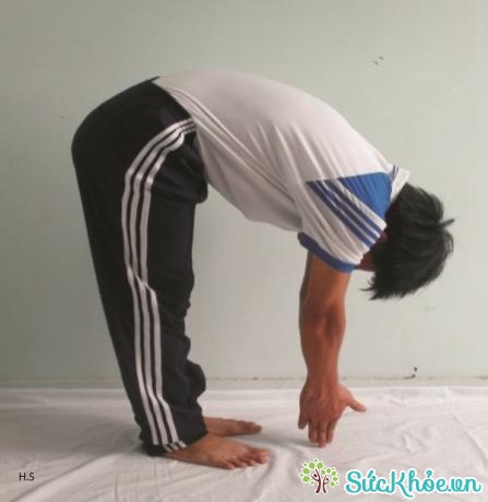 Yoga khí công giúp giảm đầy bụng, khó tiêu hiệu quả ngay tại nhà