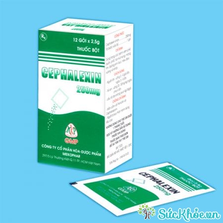 Cephalexin 250mg là thuốc điều trị nhiễm khuẩn do vi khuẩn nhạy cảm