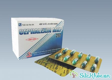 Thuốc Cephalexin MKP 250 điều trị nhiễm khuẩn hiệu quả