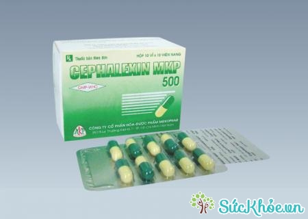 Cephalexin MKP 500 là thuốc điều trị các trường hợp nhiễm khuẩn