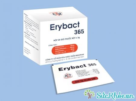 Erybact 365 là thuốc điều trị nhiễm khuẩn đường hô hấp, đường tiêu hóa