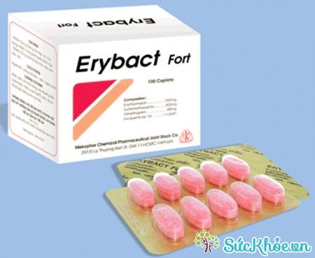 Erybact Fort là thuốc điều trị các trường hợp nhiễm trùng