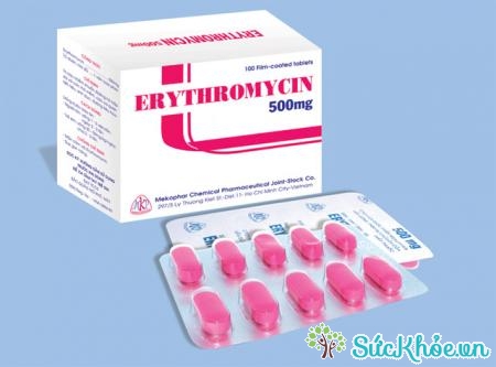 Erythromycin 500mg là thuốc điều trị nhiễm khuẩn đường hô hấp, da, mô mềm