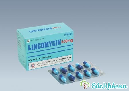 Lincomycin 500mg là thuốc điều trị nhiễm khuẩn nặng do vi khuẩn nhạy cảm