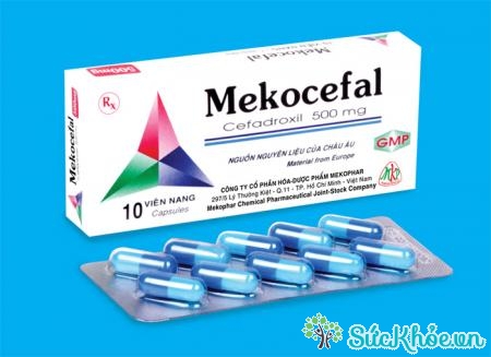 Mekocefal là thuốc điều trị nhiễm khuẩn do vi khuẩn nhạy cảm với Cefadroxil