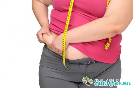Nguyên nhân dẫn tới bệnh béo phì một phần do gen di truyền hoặc do thói quen ăn uống