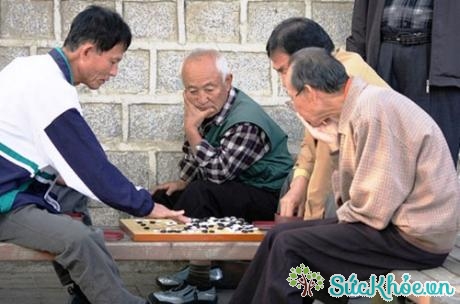 Người cao tuổi nên chơi các trò chơi trí tuệ như chơi cờ
