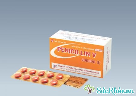 Penicillin V 400.000IU là thuốc điều trị nhiễm khuẩn hiệu quả