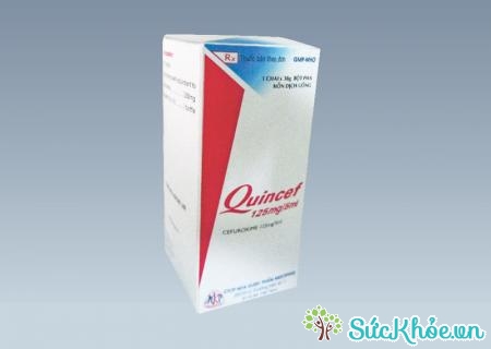Thuốc Quincef 125mg/5ml điều trị nhiễm khuẩn đường hô hấp, đường niệu - sinh dục