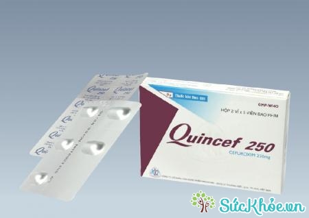 Quincef 250 là thuốc điều trị nhiễm trùng do vi khuẩn nhạy cảm