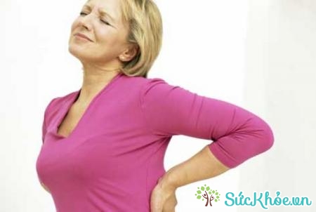 Đau thắt lưng là một trong các bệnh lý phổ biến trong rối loạn cơ xương khớp