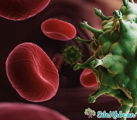 HIV lây truyền qua máu nhiễm bệnh