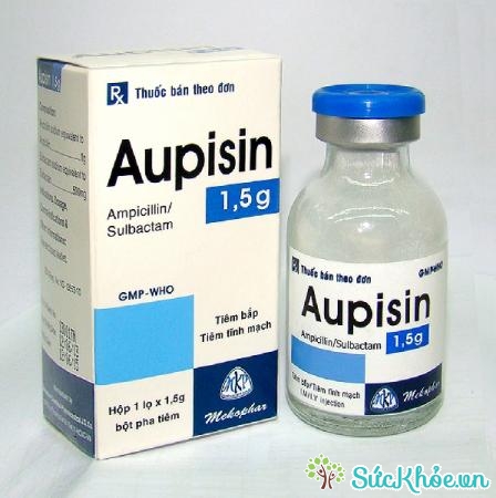 Aupisin 1,5g là thuốc điều trị nhiễm khuẩn hiệu quả