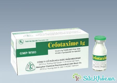 Cefotaxime 1g là thuốc điều trị nhiễm khuẩn nặng do vi khuẩn