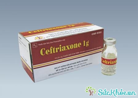 Ceftriaxone 1g là thuốc điều trị nhiễm khuẩn nặng do vi khuẩn