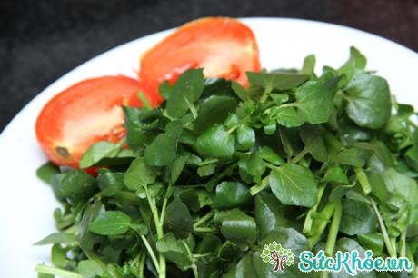 Rau cải xoong có tác dụng gì?