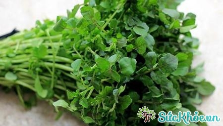 Rau cải xoong tốt cho hệ tim mạch