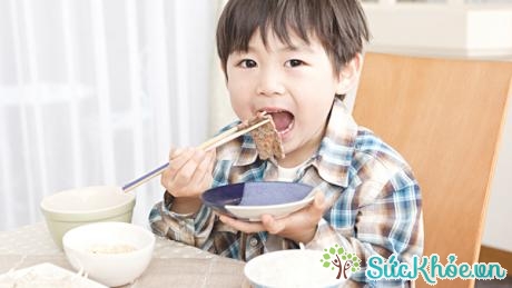 Protein có vai trò hết sức quan trọng trong chế độ ăn cho trẻ để phát triển trí tuệ và tầm vóc