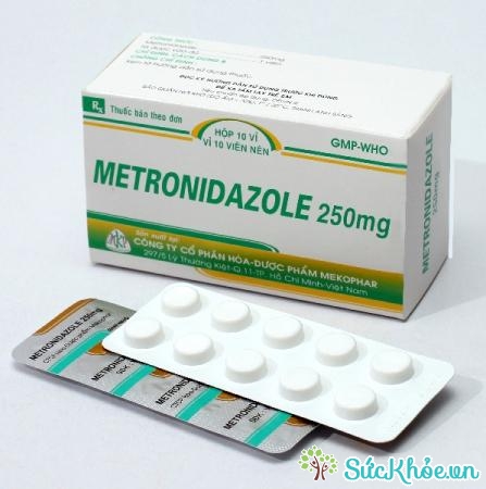 Metronidazole 250mg là thuốc điều trị nhiễm Trichomonas vaginalis, bệnh do amip