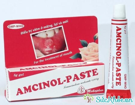 Amcinol-Paste là thuốc dùng ngoài cho các bệnh ngoài da, viêm đau miệng, lợi, môi