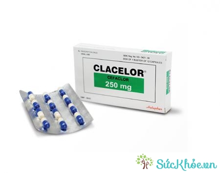 Một số thông tin về Clacelor 250mg 