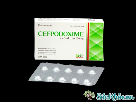 Cefpodoxime 100mg và một số thông tin cơ bản