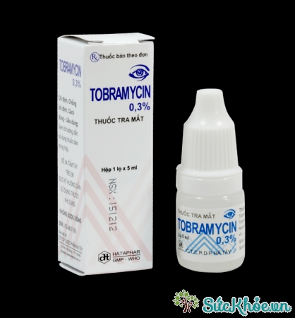 Tobramycin 5ml và một số thông tin cơ bản