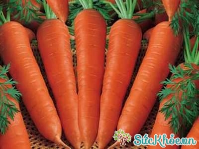 Cà rốt giúp da không bị mất nước và tóc không bị khô gãy