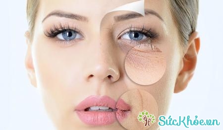 Nguyên nhân khiến da xấu đi là do bạn không thường xuyên đắp mặt nạ dưỡng da