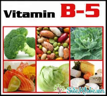 Vitamin B5 có tác dụng gì?