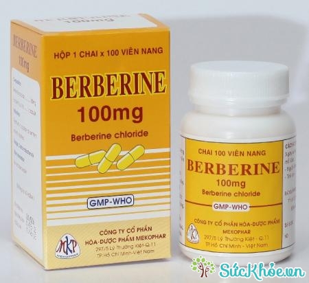 Berberine 100mg trị hội chứng lỵ trực khuẩn, viêm ruột, tiêu chảy