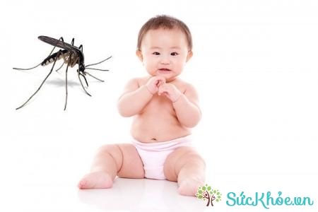 Những vết cắn của côn trùng thường gây ngứa, có thể lây bệnh