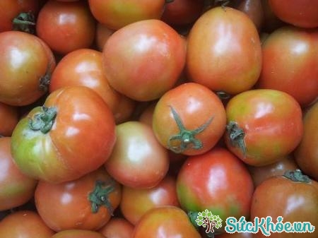 Ăn cà chua chưa chín có thể bị ngộ độc