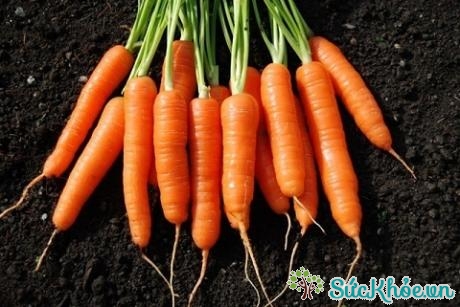 Ăn quá nhiều cà rốt, cơ thể dư thừa lượng carotene có thể gây bệnh vàng da