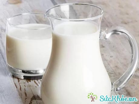 Uống sữa hàng ngày có thể giúp phòng tránh loãng xương