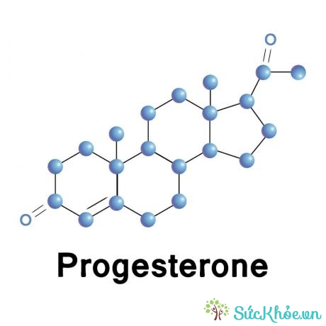 Progesterone là gì? Vai trò của progesterone