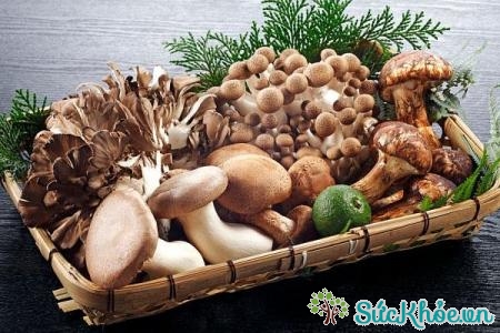 Ăn nhiều nấm cũng giúp bổ sung các dưỡng chất cần thiết