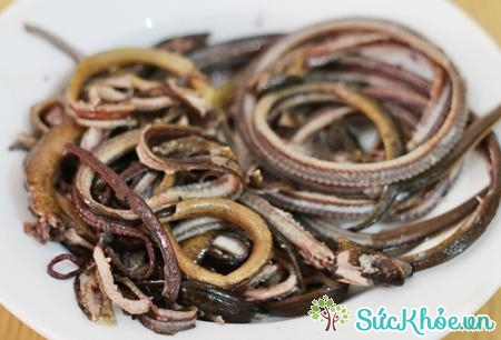 Dùng thịt lươn làm thức ăn cho trẻ biếng ăn