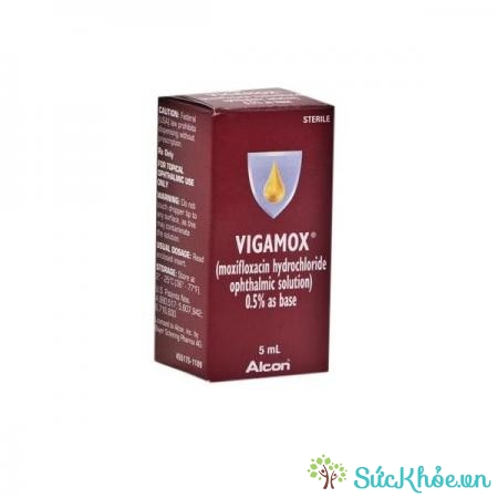 Vigamox là thuốc điều trị viêm kết mạc, viêm loét giác mạc