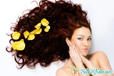 Chăm sóc tóc: Sử dụng bột hạt bơ để ủ tóc 1 đến 2 lần/tháng, bạn sẽ cảm nhận được một mái tóc chắc khỏe và mượt mà hơn.