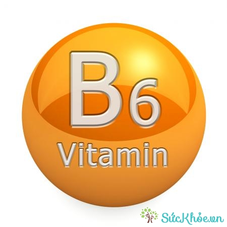 Vitamin B6 hấp thu nhanh chóng qua đường tiêu hóa