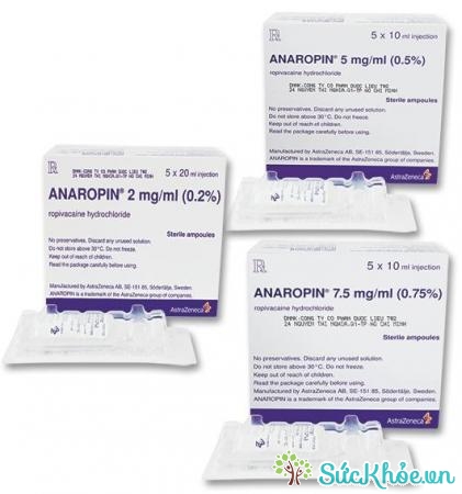 Anaropin có tác dụng gây tê phẫu thuật